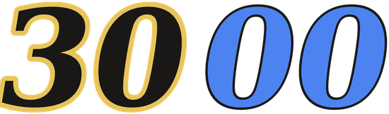 3000 logo
